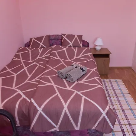 Pensiune Sonia Vendeghaz