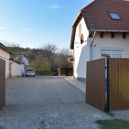 Pensiune Sonia Vendeghaz