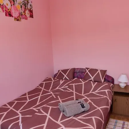 Pensiune Sonia Vendeghaz