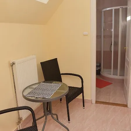 Pensiune Sonia Vendeghaz